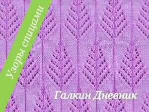 shemi-uzorov-34-galkin-dnevnik-knitting